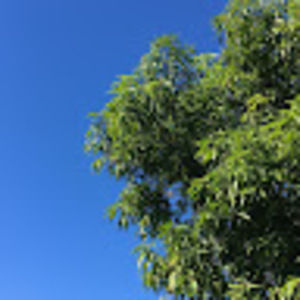 Meet your Posher, Efraim